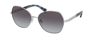 Солнцезащитные очки Coach L1130 HC7112 90018G