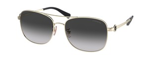 Солнцезащитные очки Coach C6177 HC7127 90053C