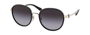 Солнцезащитные очки Coach C6179 HC7129 50028G