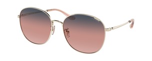 Солнцезащитные очки Coach C7996 HC7134 90058D