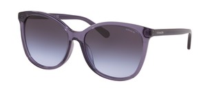 Солнцезащитные очки Coach L1101 HC8271U 55354Q