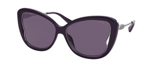 Солнцезащитные очки Coach L1166 HC8304U 54291A