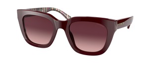 Солнцезащитные очки Coach C3449 HC8318 54798H