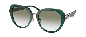 Солнцезащитные очки Coach C6189 HC8331 56618E