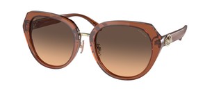 Солнцезащитные очки Coach C6189 HC8331 5662G9