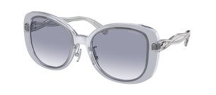 Солнцезащитные очки Coach C7995 HC8333 568279