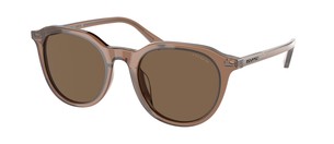 Солнцезащитные очки Coach C8007 HC8339U 567273