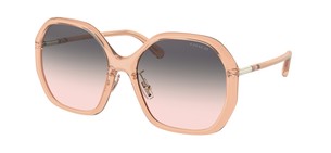 Солнцезащитные очки Coach C9204 HC8343 5561U8