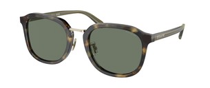 Солнцезащитные очки Coach CH577 HC8366 53243H