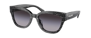Солнцезащитные очки Coach CL923 HC8379U 55208G