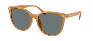 Солнцезащитные очки Coach HC8414BD 585580