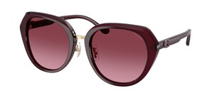 Солнцезащитные очки Coach HC8436 59158H