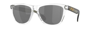 Солнцезащитные очки Oakley Frogskins OO9013 9013L5
