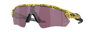 Солнцезащитные очки Oakley Radar EV Path OO9208 9208E8