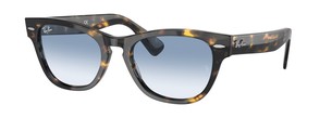 Солнцезащитные очки Ray-Ban Laramie RB2201 13323F