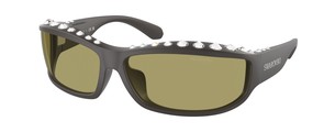 Солнцезащитные очки Swarovski SK6009 102182