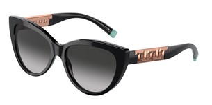 Солнцезащитные очки Tiffany & Co. TF4196 80013C