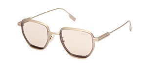 Солнцезащитные очки Zegna EZ0256 35E