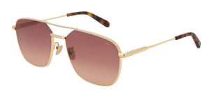 Солнцезащитные очки Brioni BR0067S 004