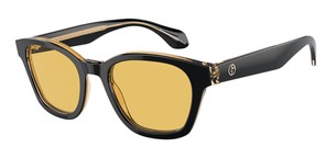 Солнцезащитные очки Giorgio Armani AR8207 608485