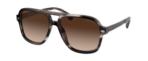 Солнцезащитные очки Chanel CH5436Q 1678S5