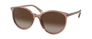 Солнцезащитные очки Chanel CH5448 1651S9