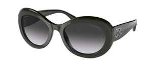 Солнцезащитные очки Chanel CH5469B 1707S6