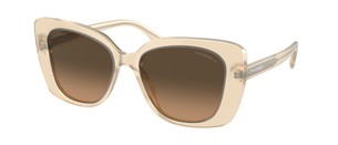 Солнцезащитные очки Chanel CH5504 173143