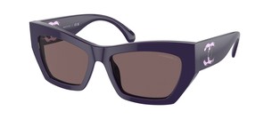 Солнцезащитные очки Chanel CH5527 175853