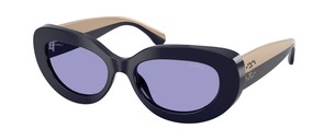 Солнцезащитные очки Chanel CH5562B C5031A