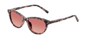 Солнцезащитные очки Dolce & Gabbana DX4010 3476A5