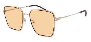 Солнцезащитные очки Emporio Armani EA2159D 3011/7
