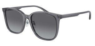 Солнцезащитные очки Emporio Armani EA4206D 5029T3