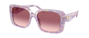 Солнцезащитные очки Coach HC8424U 58677W
