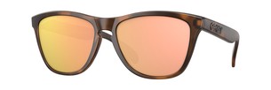 Солнцезащитные очки Oakley Frogskins OO9013 9013G0