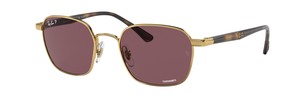 Солнцезащитные очки Ray-Ban RB3664CH 001/BC
