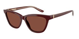Солнцезащитные очки Giorgio Armani AR8221 5955C5