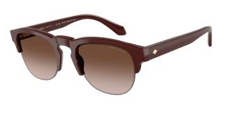 Солнцезащитные очки Giorgio Armani AR8238 622113