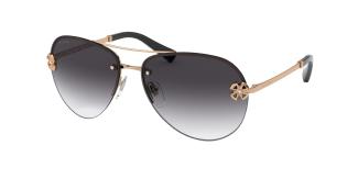 Солнцезащитные очки Bvlgari BV6137B 20148G
