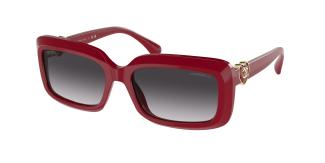 Солнцезащитные очки Chanel CH5520 1759S6