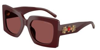 Солнцезащитные очки Dolce & Gabbana DG4525B 309175