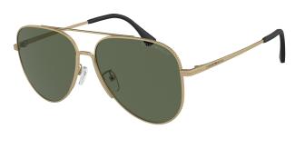 Солнцезащитные очки Emporio Armani EA2149D 300271