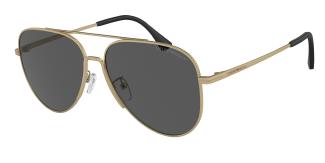 Солнцезащитные очки Emporio Armani EA2149D 337187