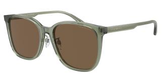 Солнцезащитные очки Emporio Armani EA4206D 536273
