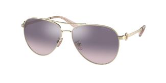 Солнцезащитные очки Coach C6178 HC7128 900558