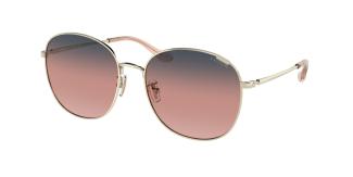 Солнцезащитные очки Coach C7996 HC7134 90058D