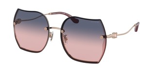 Солнцезащитные очки Coach HC7146BD 93310J