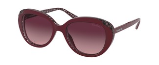 Солнцезащитные очки Coach L1134 HC8289 55848H