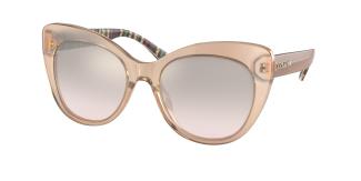 Солнцезащитные очки Coach C3448 HC8317 55238Z