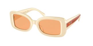 Солнцезащитные очки Coach C7988 HC8336U 568687